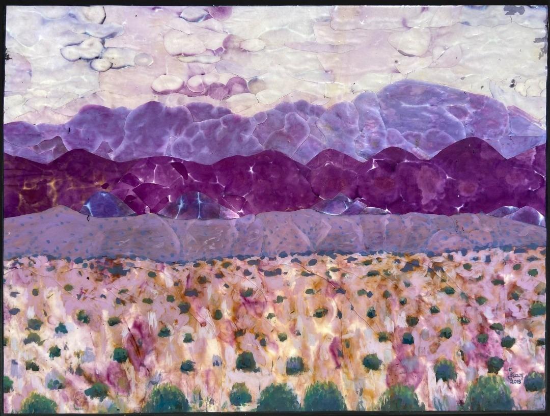 New Mexico Landscape