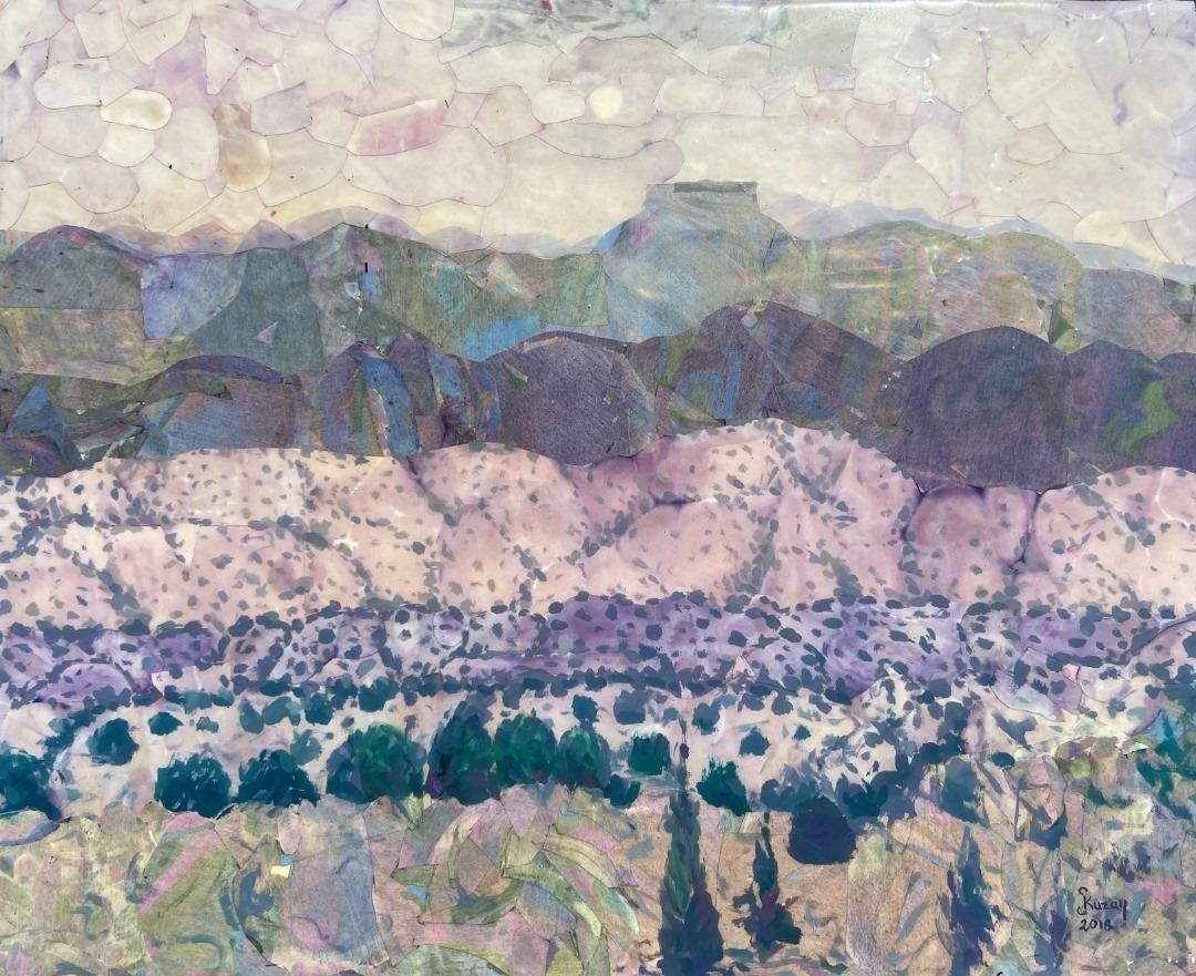 New Mexico Landscape