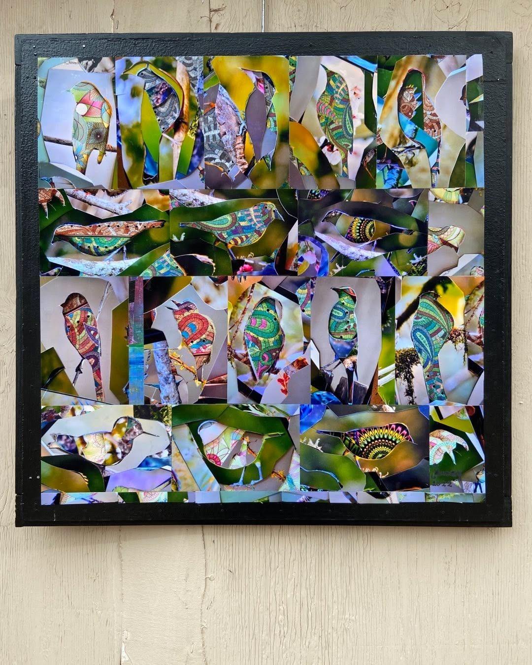 Birds